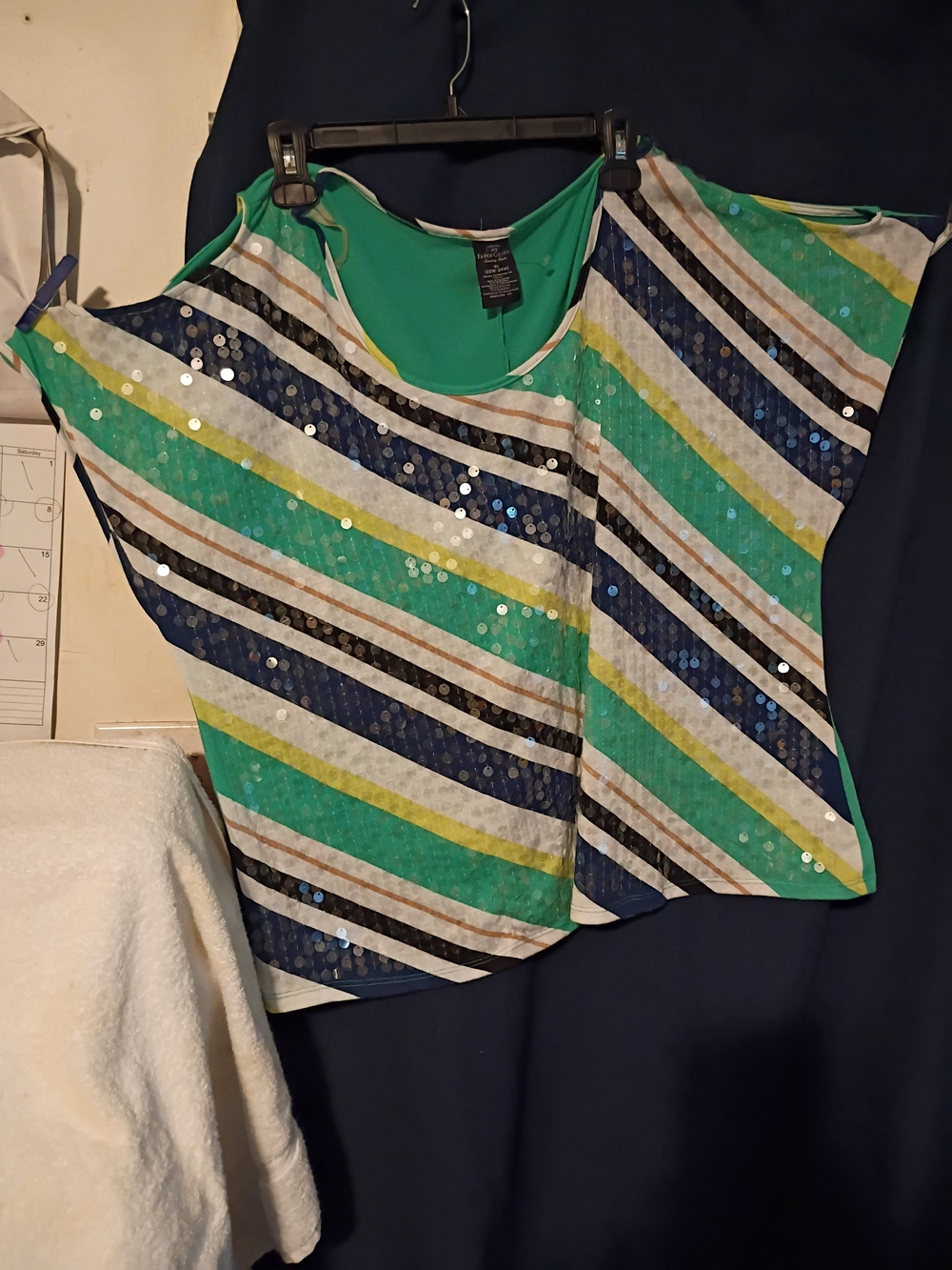 Faded Glory Teal Green Blue Diagonal Striped Sequin Crop Top